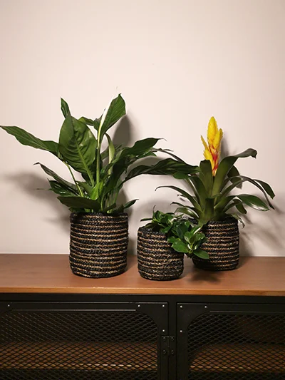 Kosz Pot M