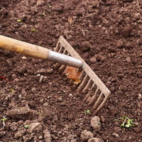 10 najpotrzebniejszych narzędzi ogrodowych. Podstawowy niezbędnik każdego ogrodnika.