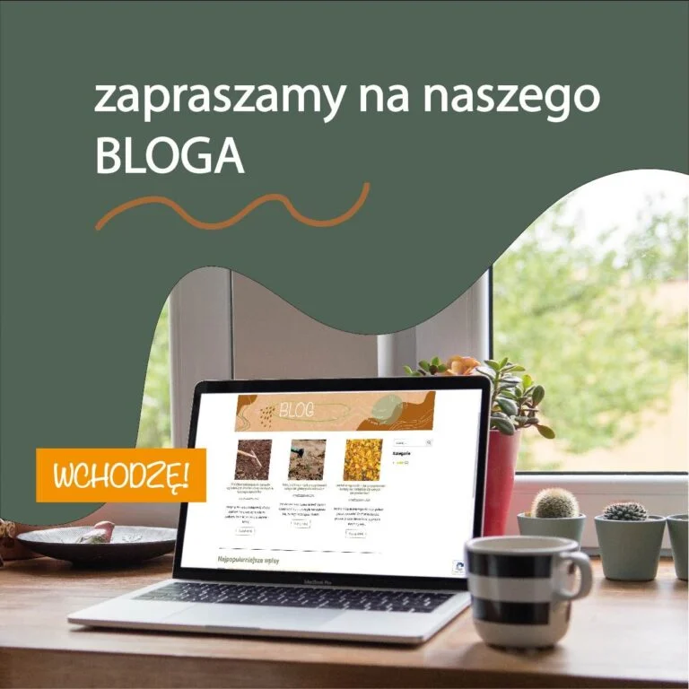 blog_zaproszenie mobile small