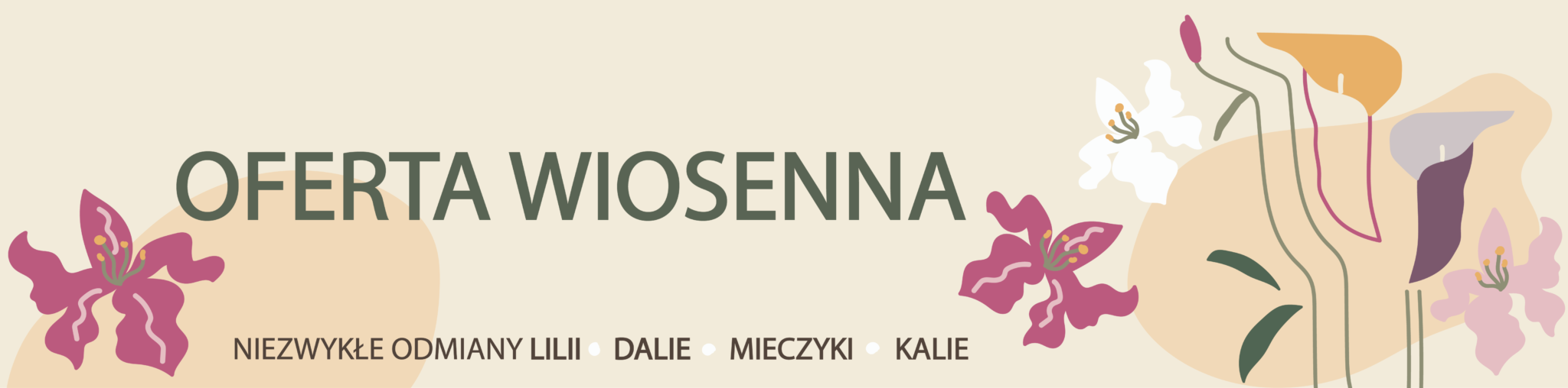 23_OFERTA WIOSENNA_WEB