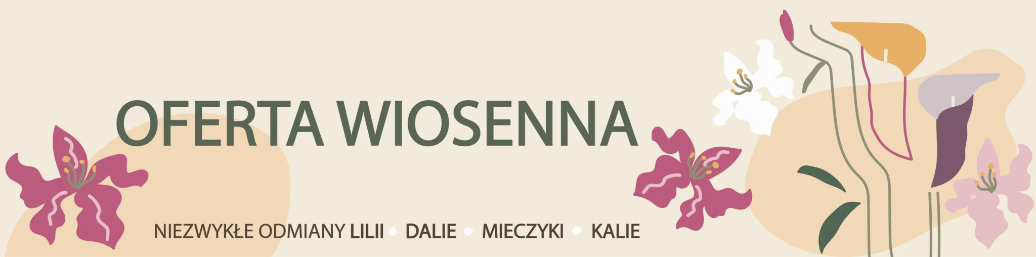 23_OFERTA WIOSENNA_WEB