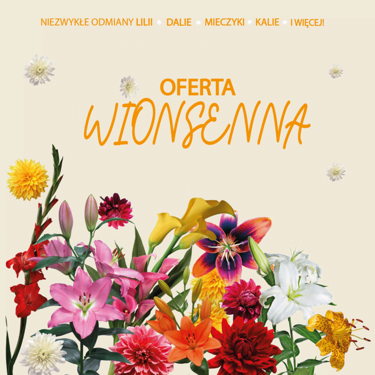 KARUZELA_OFERTA WIOSENNA_MOBILE OST