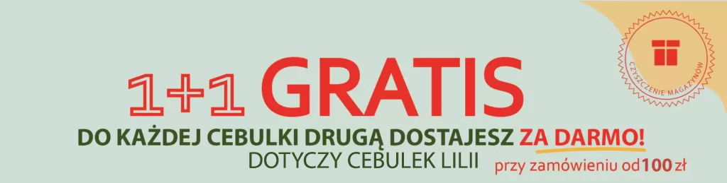 KARUZELA-Botanik_11-gratis-onlylily
