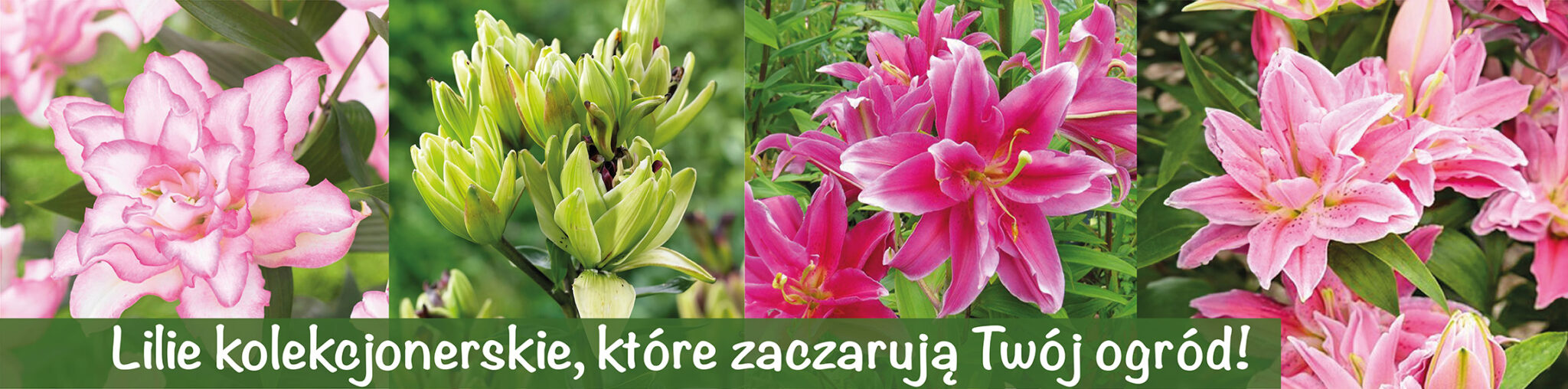 karuzela lilie_kolekcjonerskie_web