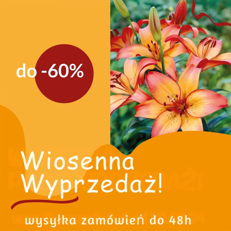 WIOSENNA WYPRZEDAŻ! Karuzela Mobile