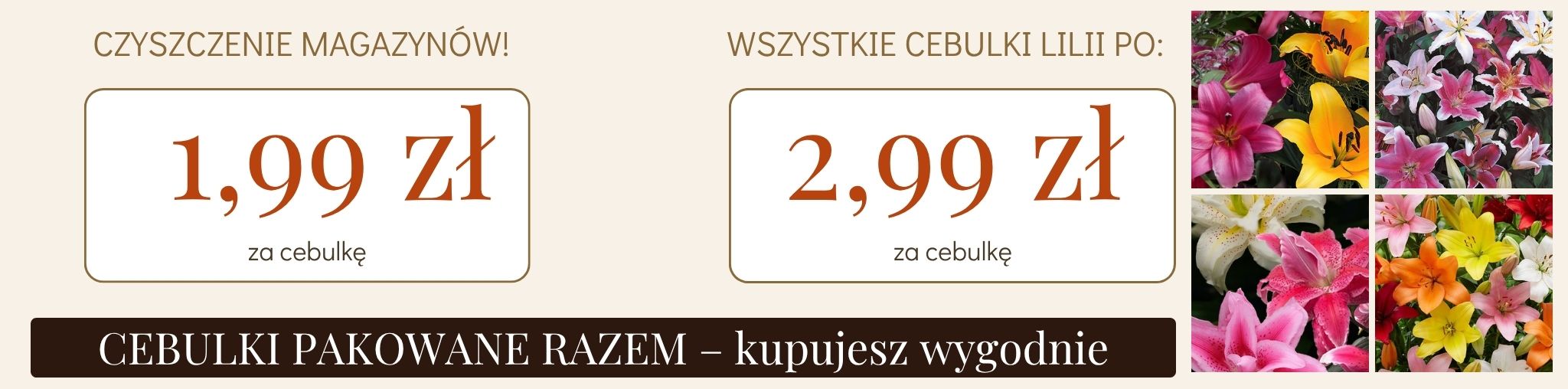 WSZYSTKO PO DESKTOP