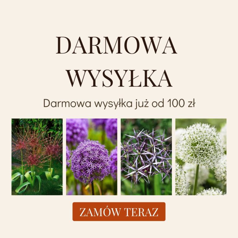 darmowa_wysylka_mobile_jesien